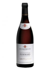 Bouchard Pere & Fils, Pommard 1er Cru 2019